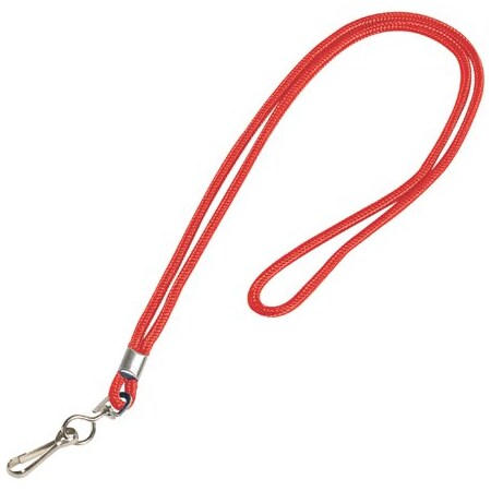 Bsc Preferred Standard Red Lanyard with Hook, 24PK BUY00030850